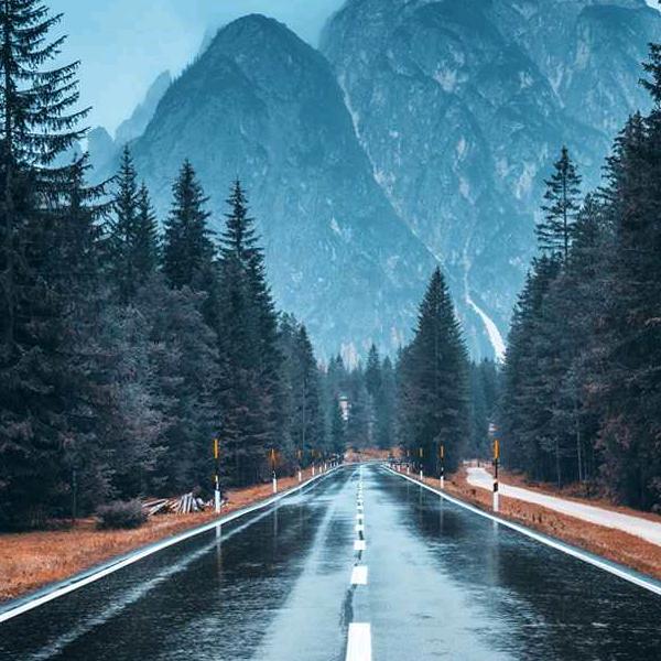 用户2597294883015啊利