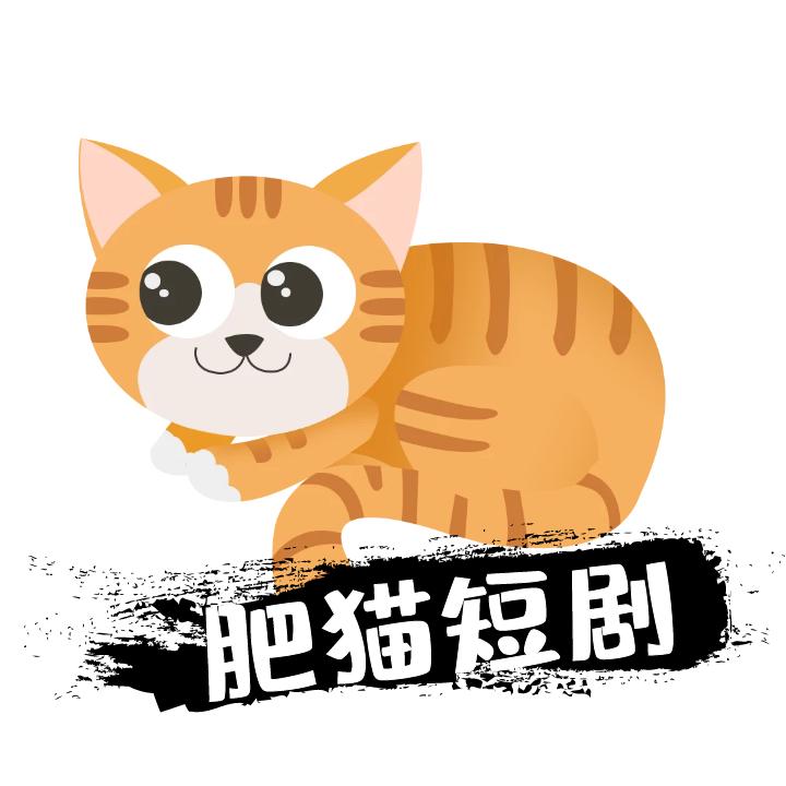肥猫追剧
