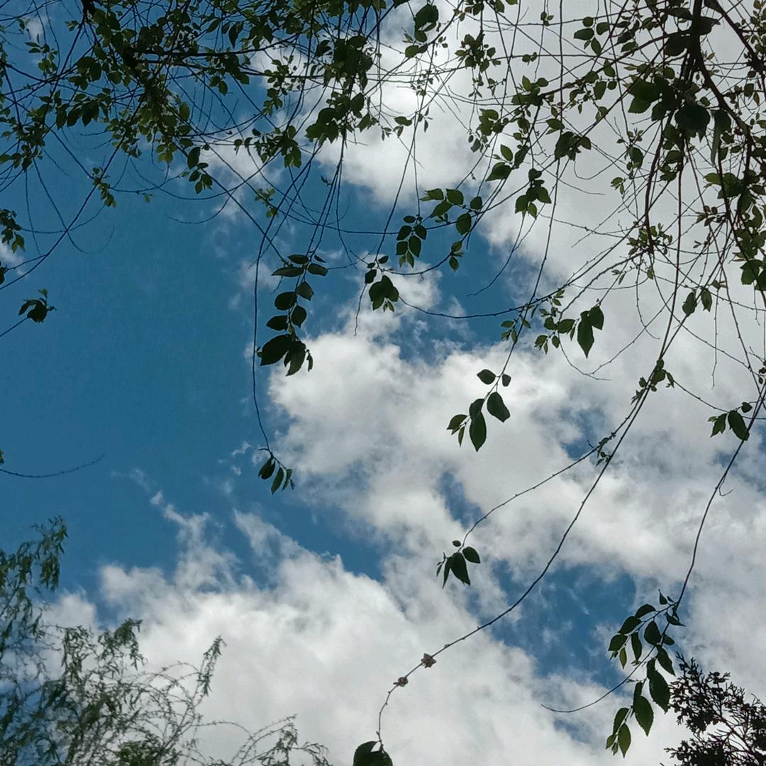 巴盟@qq.com