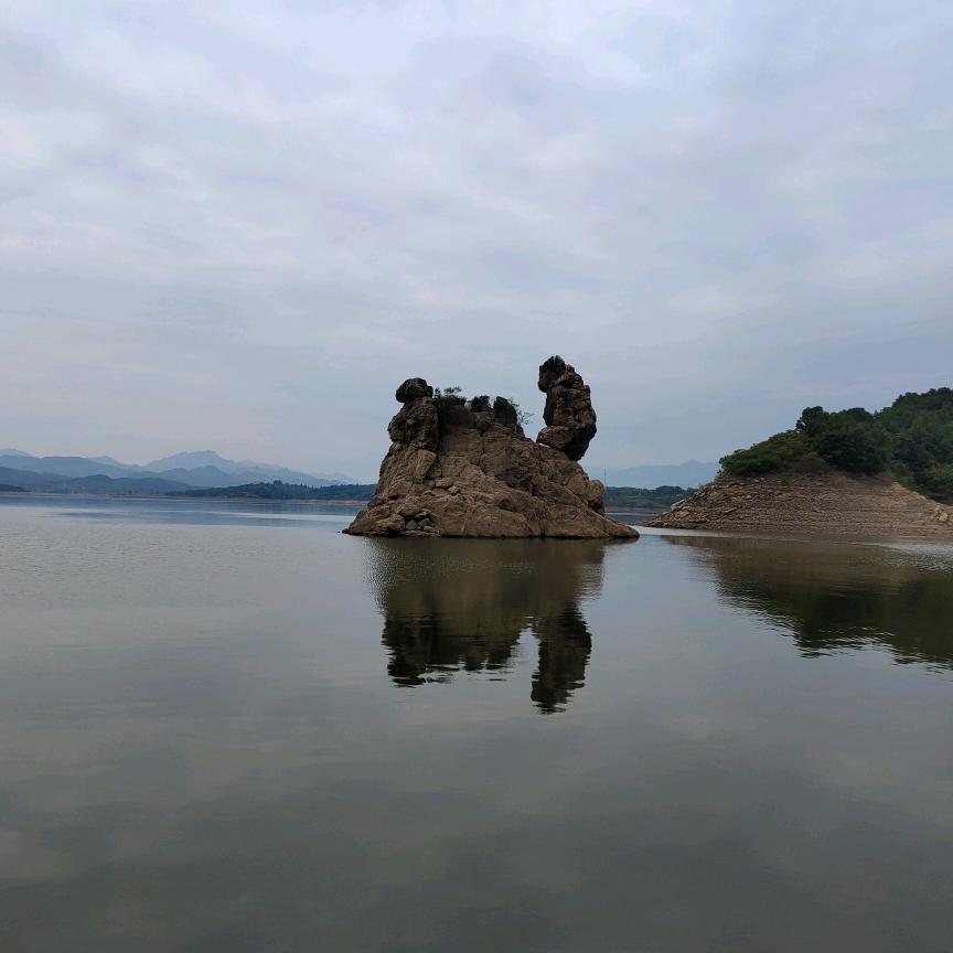 东山再起，老李