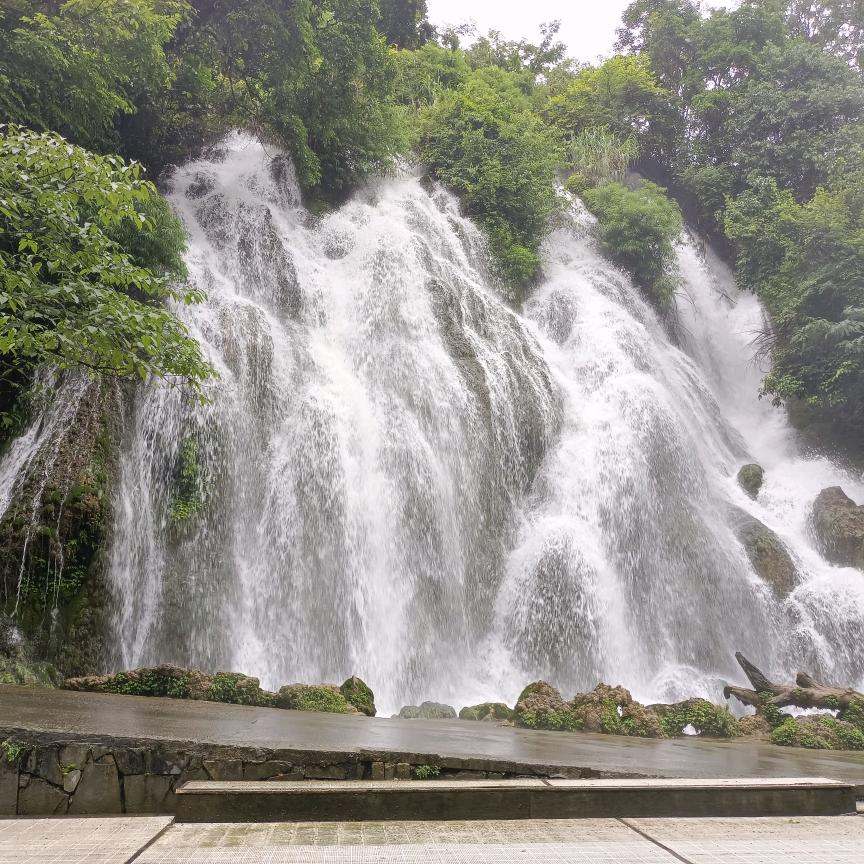 玉林市张陆物流