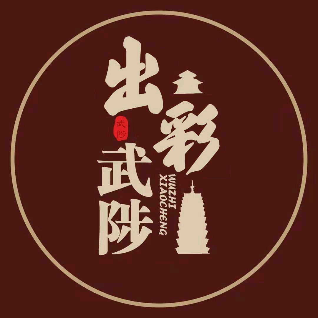 出彩武陟人