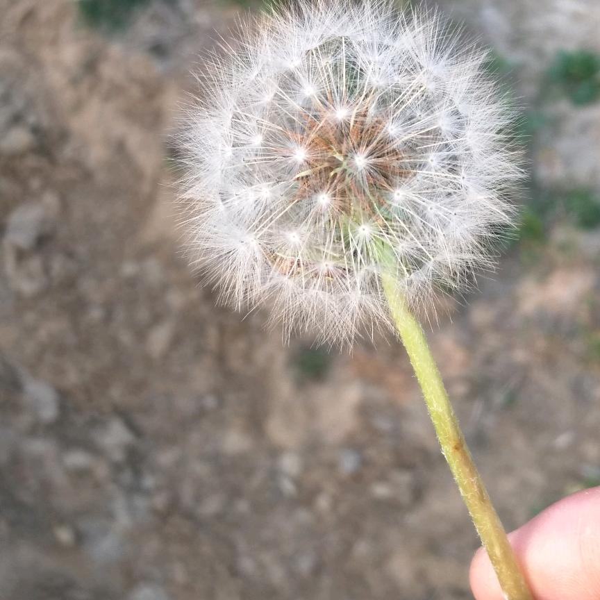 胖子没烦恼