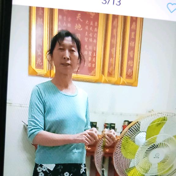 张大姐的四季