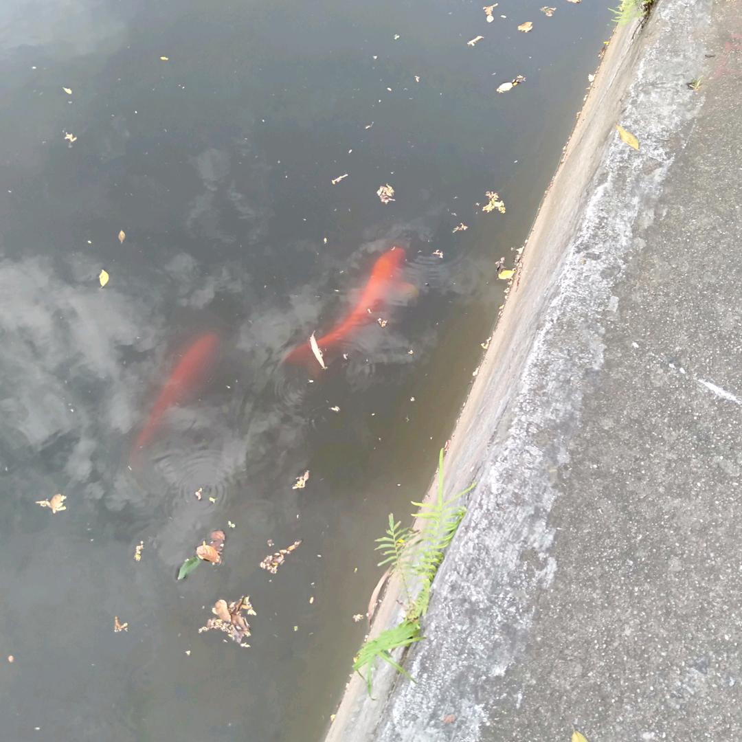 金国远鸿吸塑包装盒石膏模具