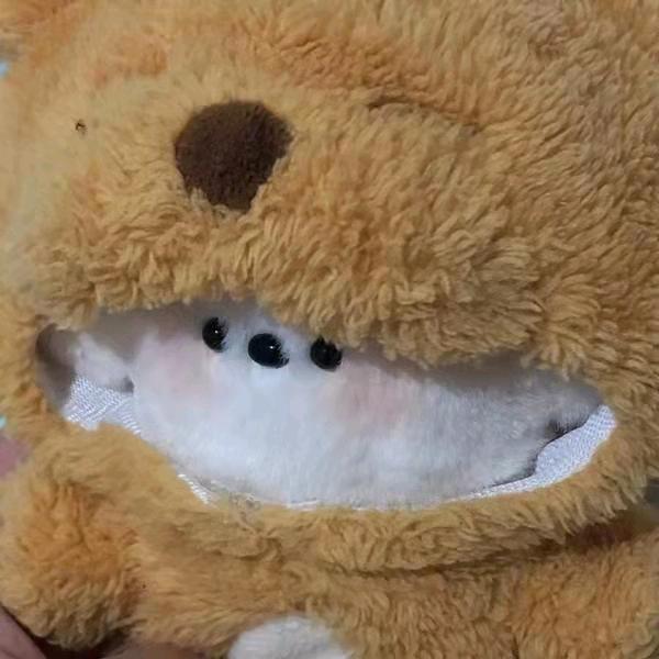 甜甜大王