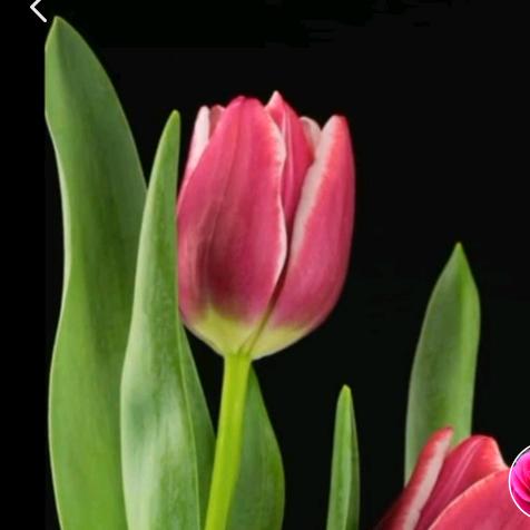 ᥫᩣིྀ💞᭄金玉ོꦾ满唐ꦿᩚᭁ