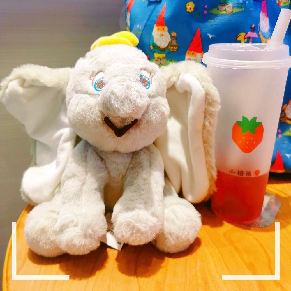 🐰大兔子小老虎🐯