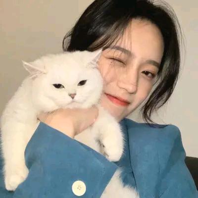 讯亚维智