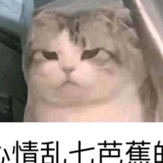 🌠星河💫