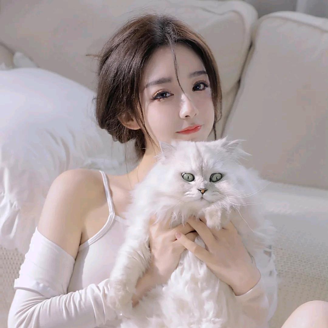 小柒-动漫设计师