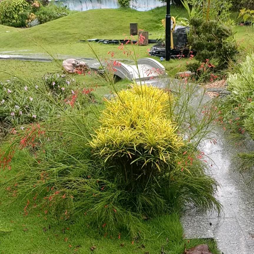 ꧁和你从一句话开始꧂