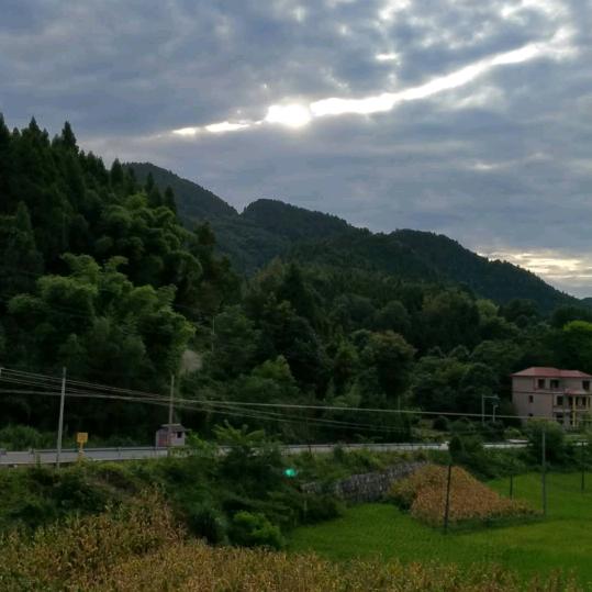 海海