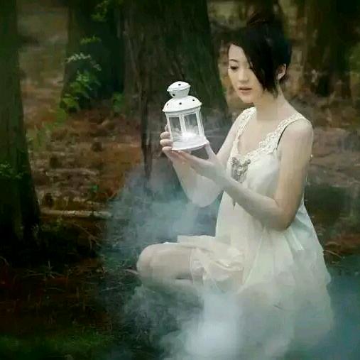 @紫色蒲公英