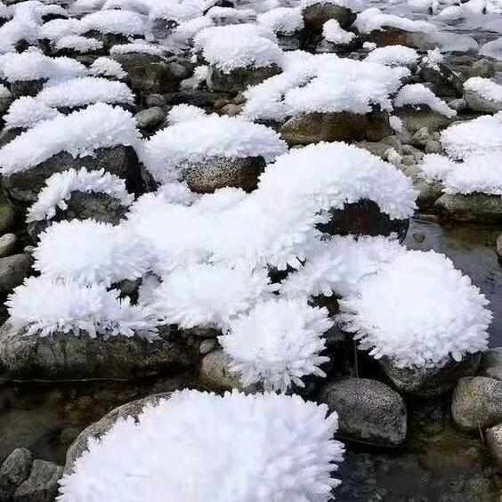 缘分