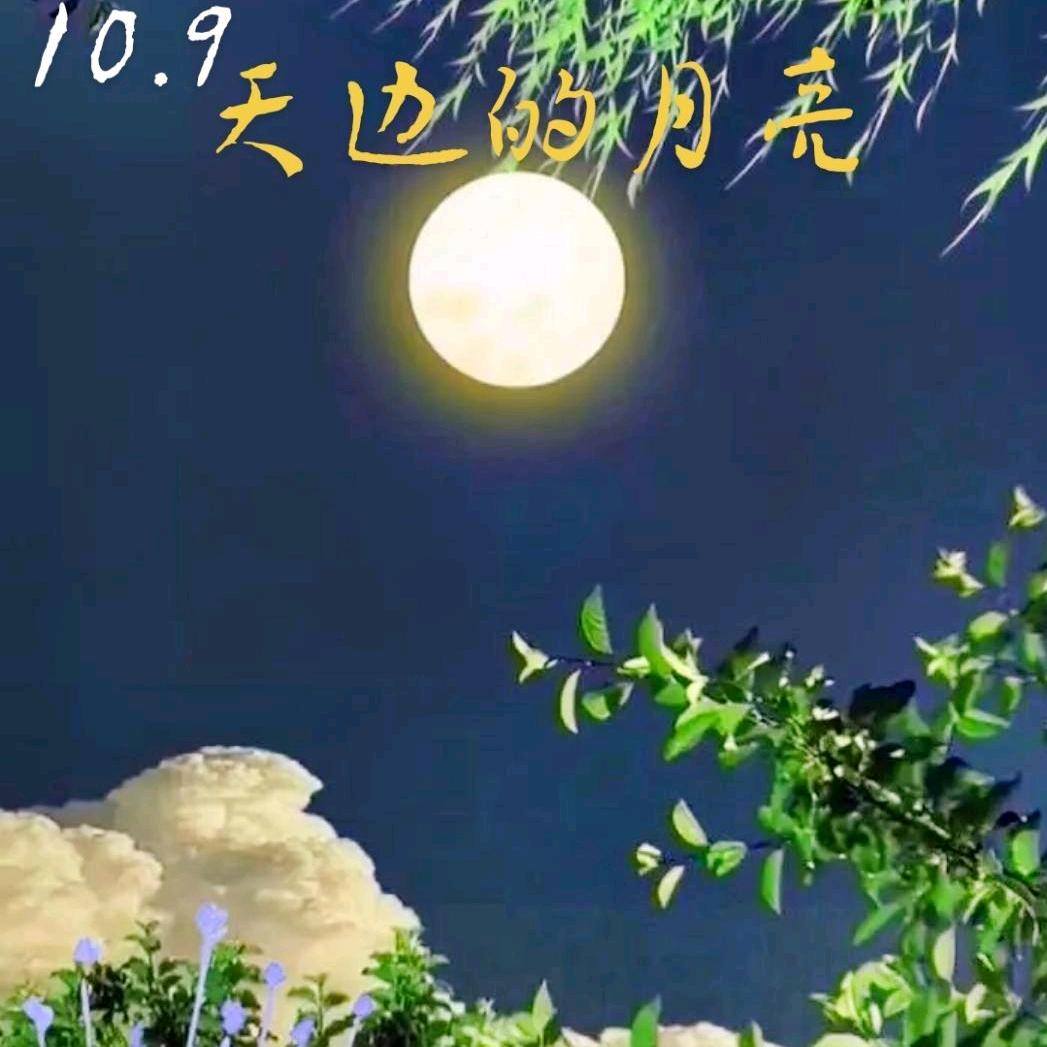更新自已：