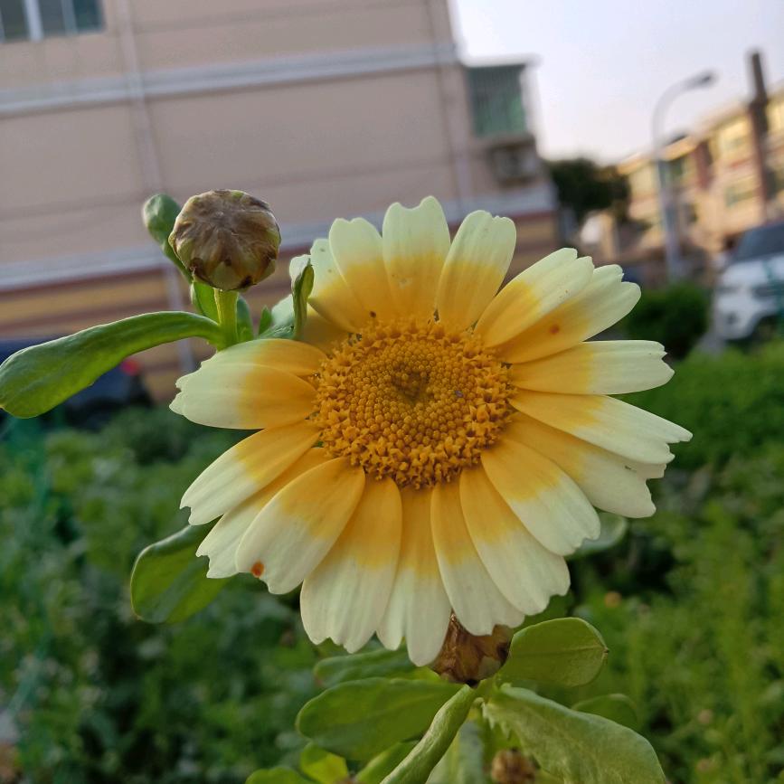 李航航
