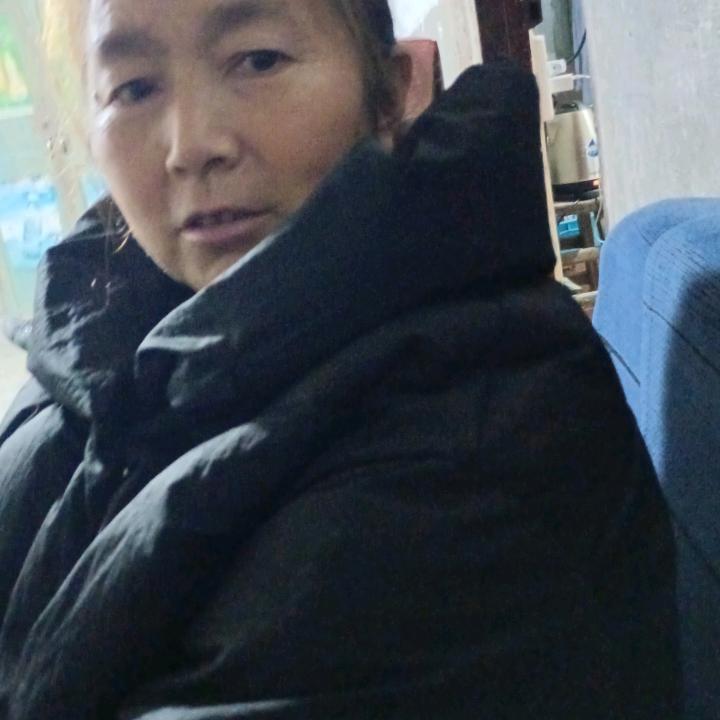 老龙