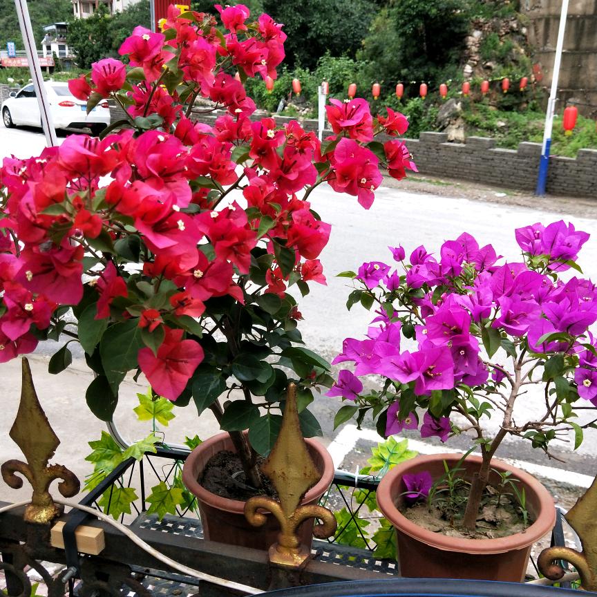 天河山风景区天河宾馆