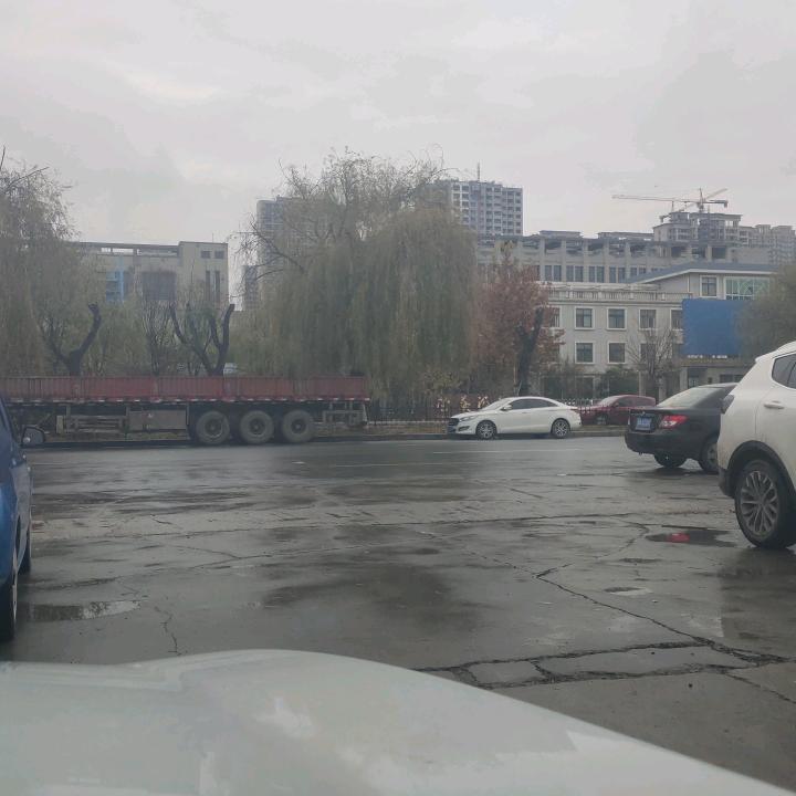 砖家