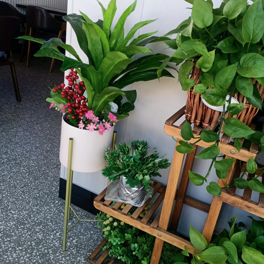 珍莉莉