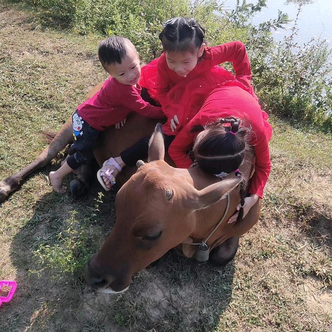 广东放牛静静