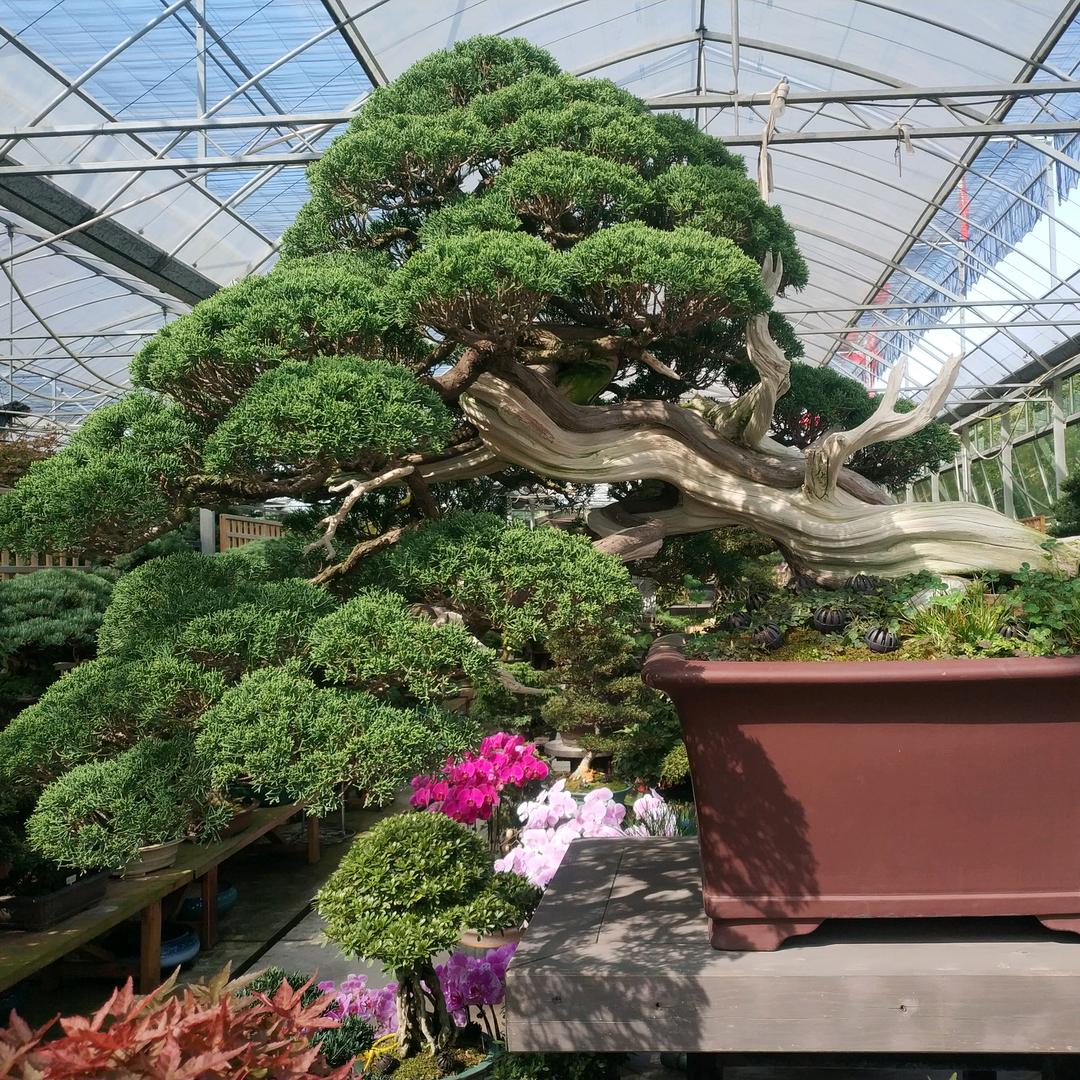 芬而玉园艺经营部