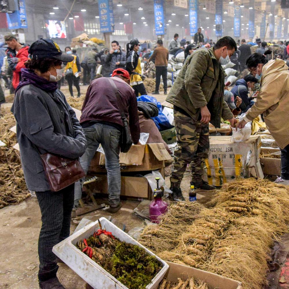 月瑞森土妞滋补营养专卖店