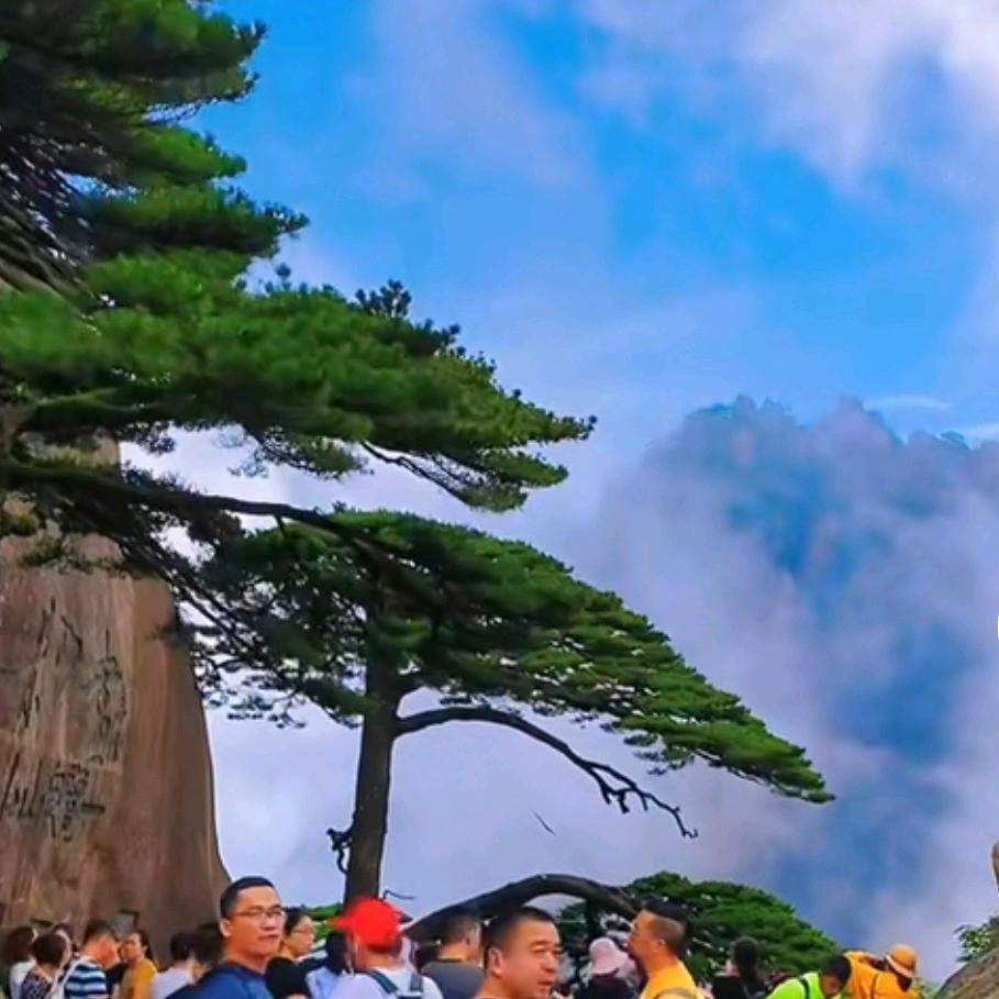 小太阳@