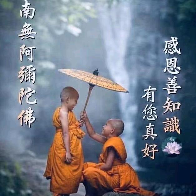 小阳阳吖