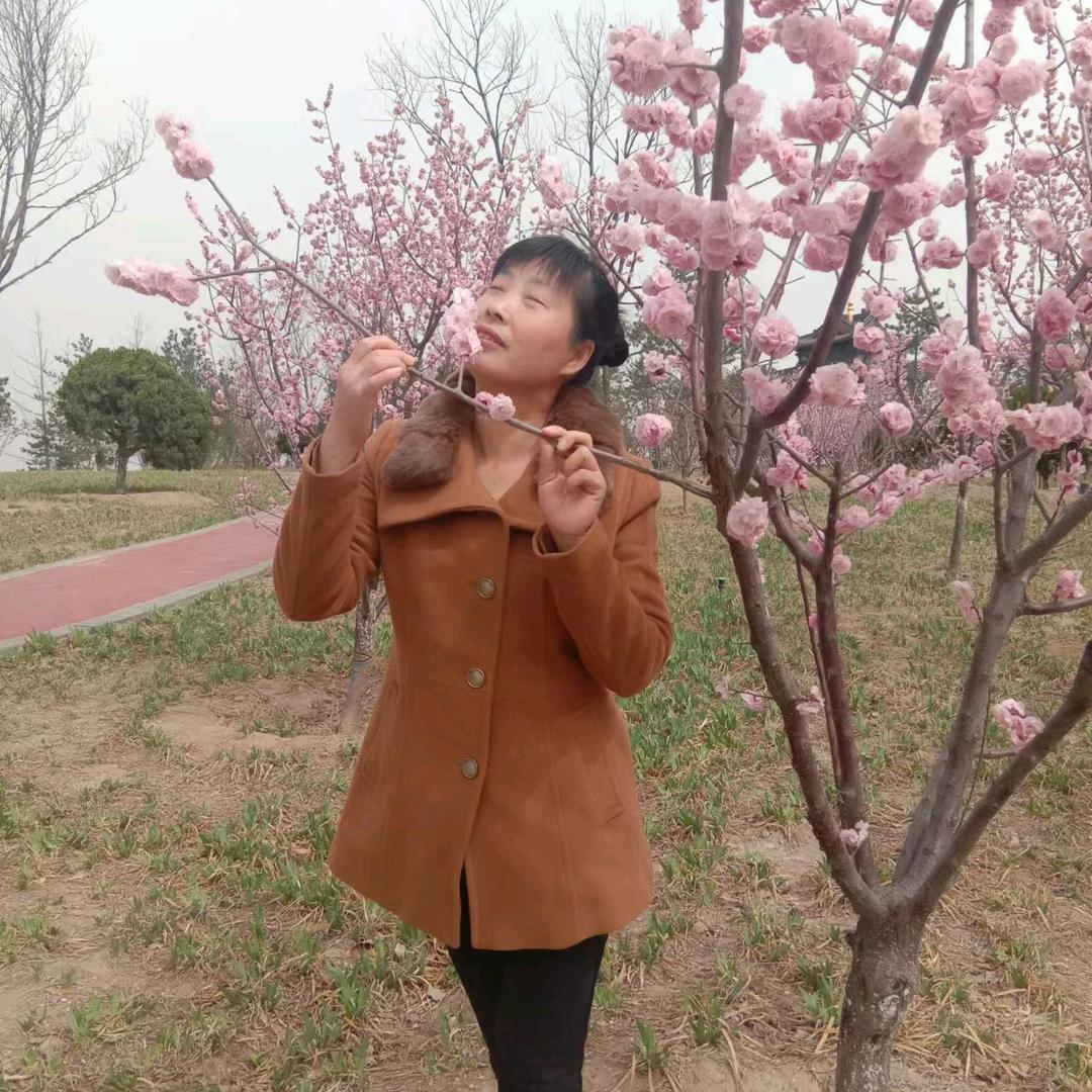 早起的鸟儿有虫吃