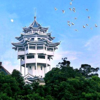 聚优堂优选