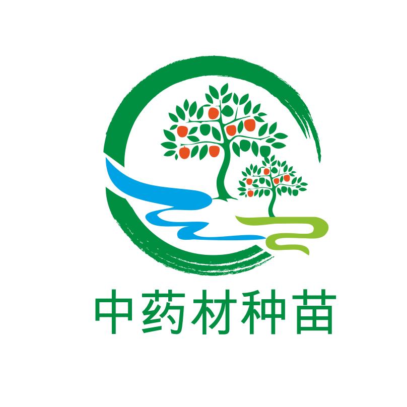 中药材杨哥