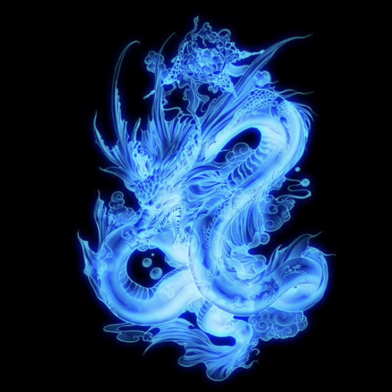 游侠骑士