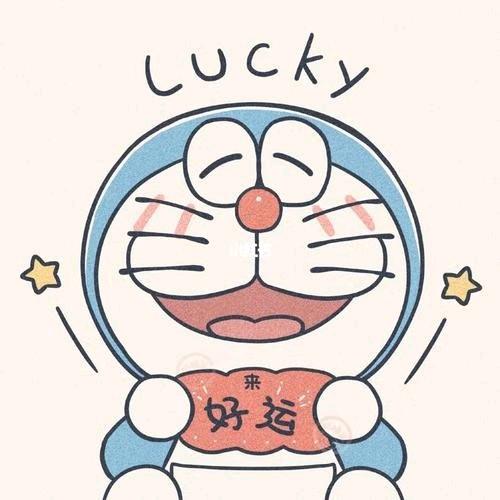 只管努力其他交给天意