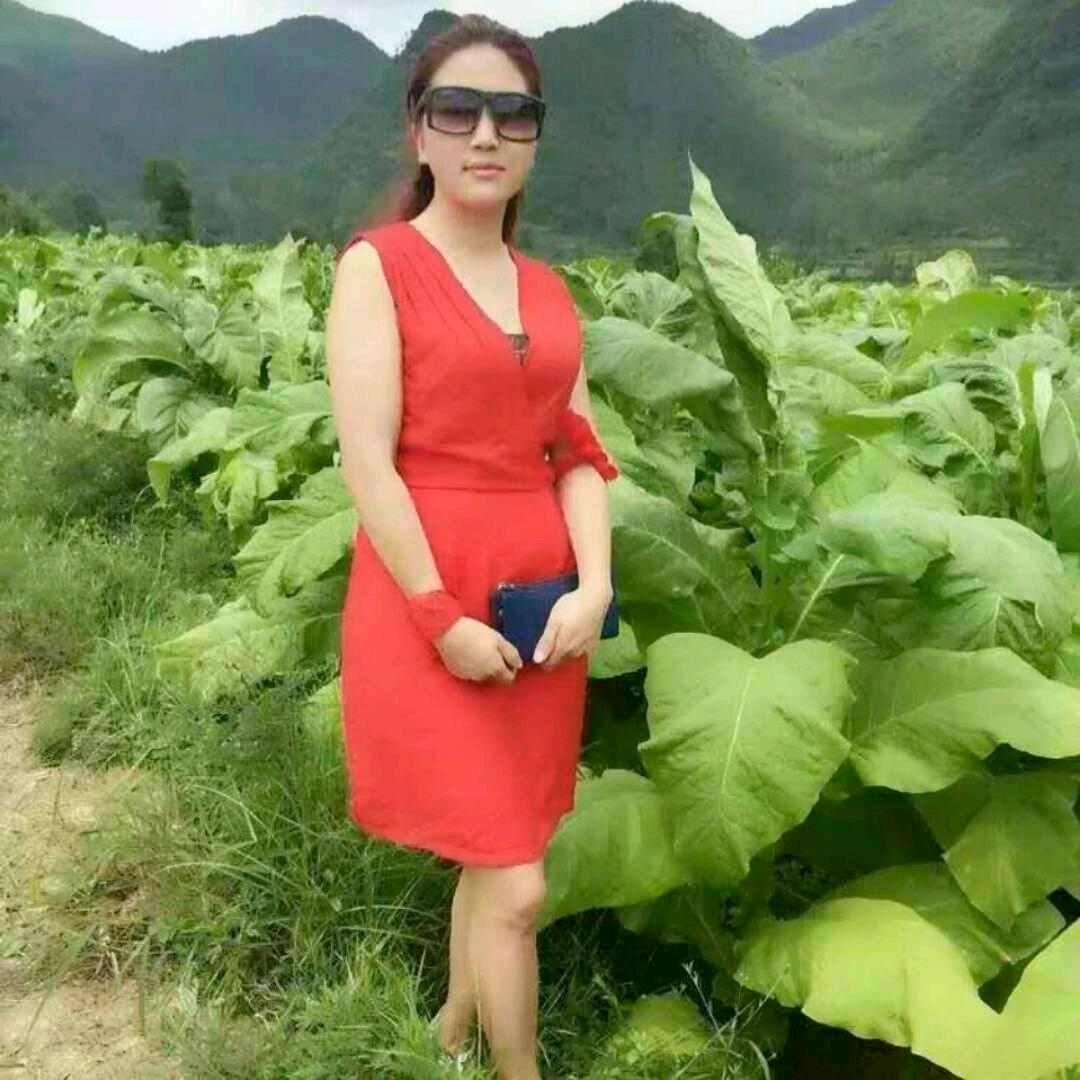 🌹🌷花好月圆🌷🌹