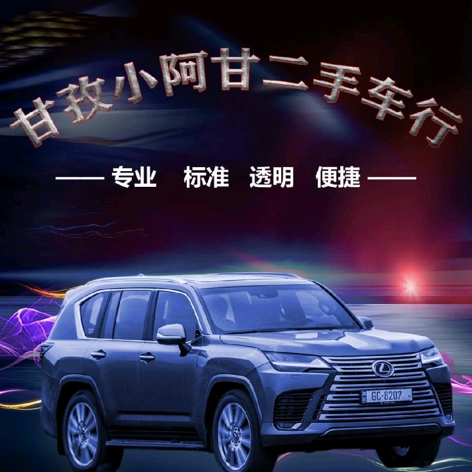 甘孜小阿甘车业