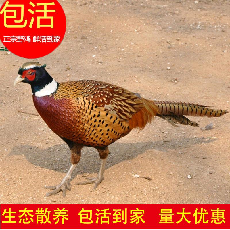 兰山区顺苑百货商行