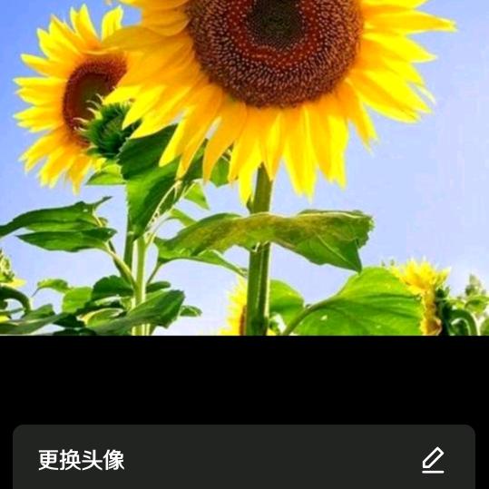 hongjie98201