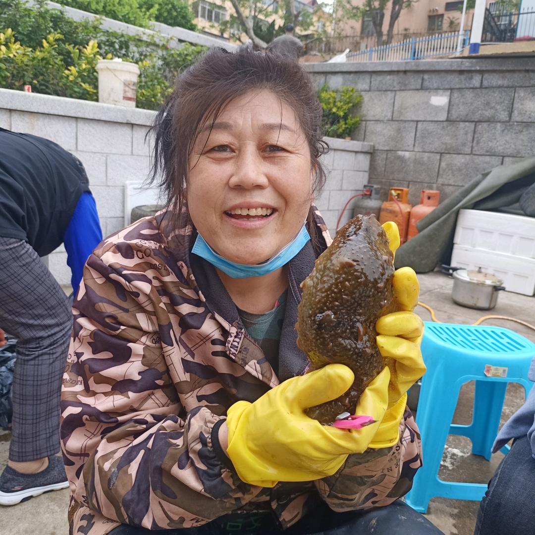 威海海参姐