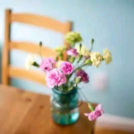 简简单单过生活