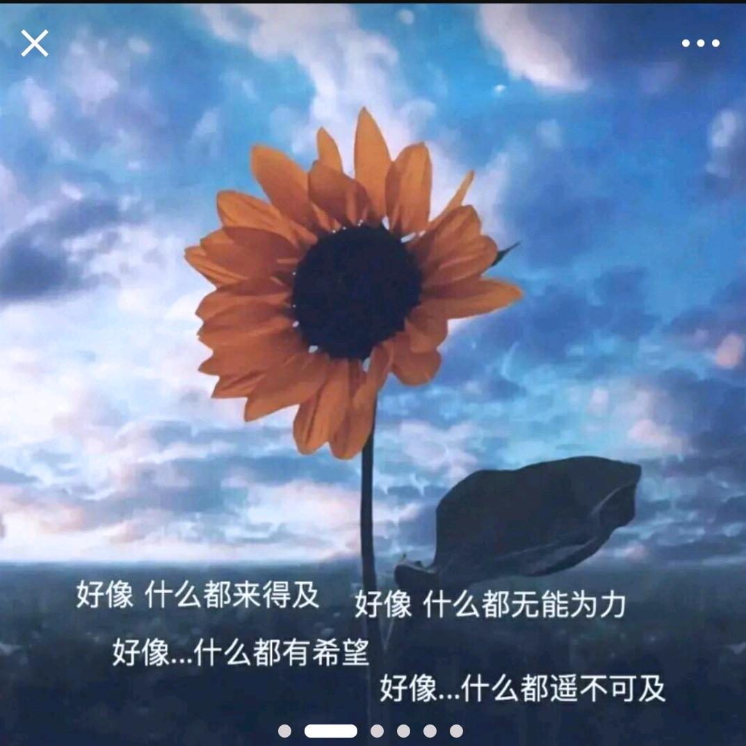 花（连赞拉黑）