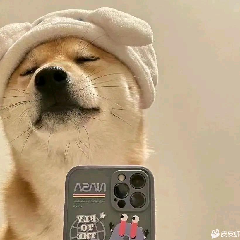 半夏微凉
