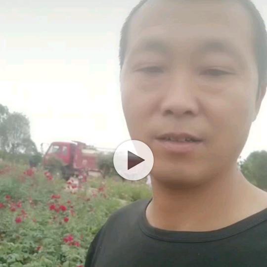 益良家庭农场