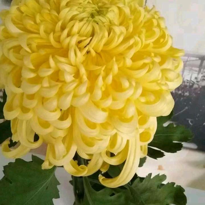 開心每一天。