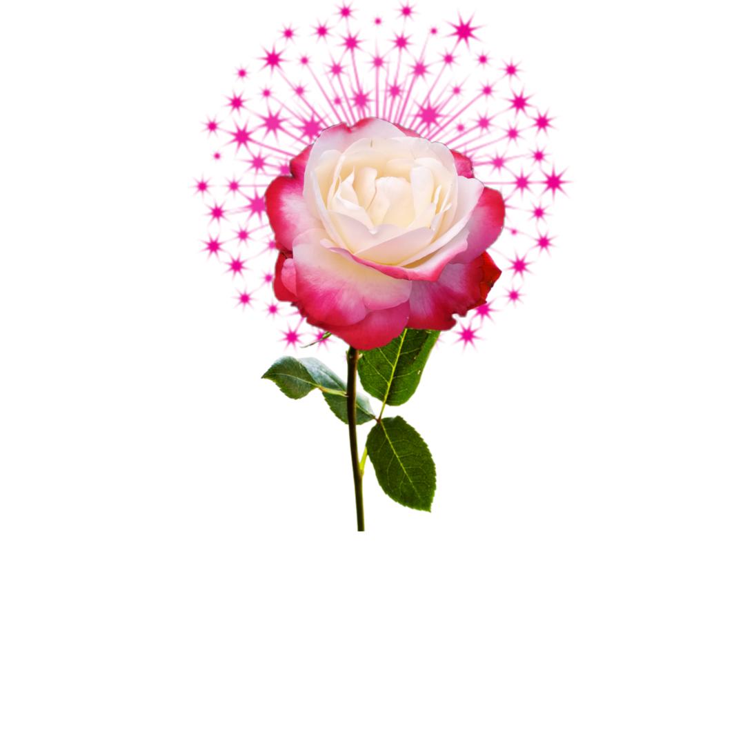 💞嫣然✨加油💞