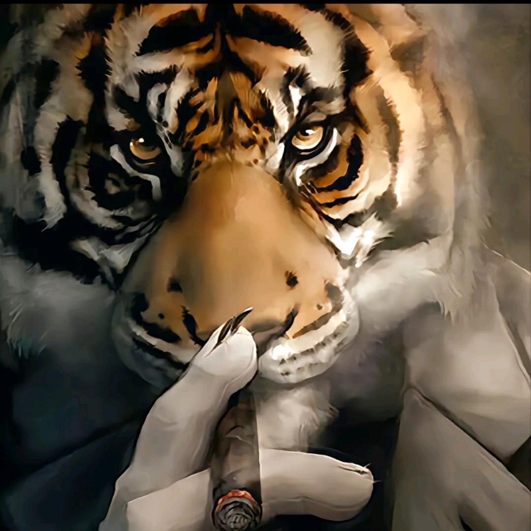 关键我你鑫哥
