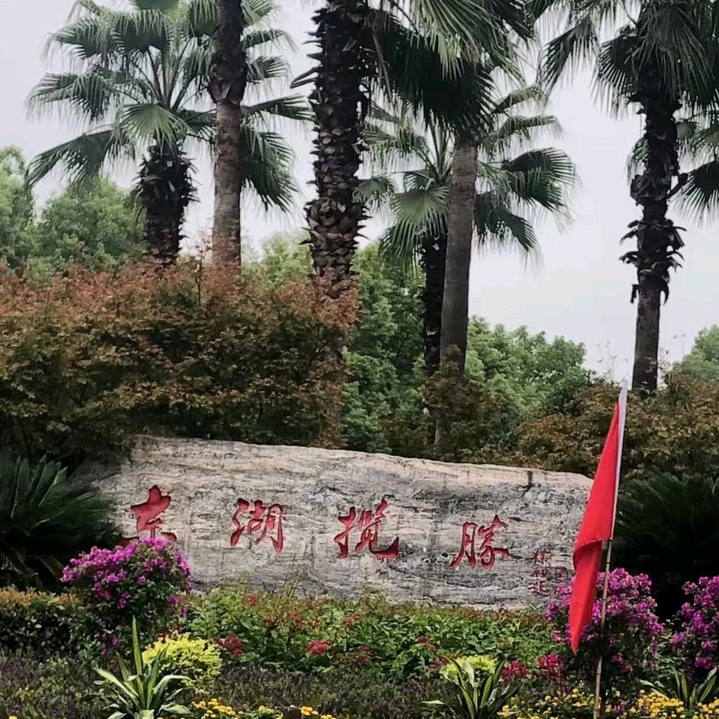 老涂