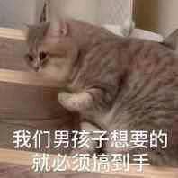 给我的葫芦满上