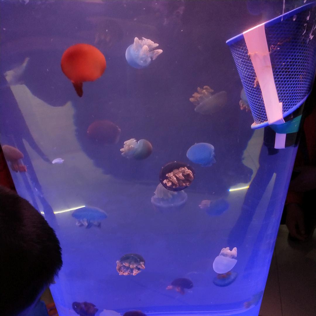 柚子带你吃美食